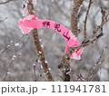ピンクテープでの熊見山山頂標識 111941781
