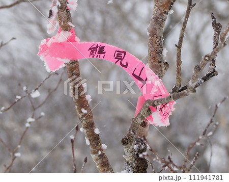 ピンクテープでの熊見山山頂標識 111941781