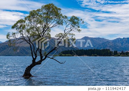 ワナカ湖のワナカツリー ワナカ湖のワナカツリー 111942417