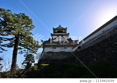 土佐国「高知城」天守閣や石垣 櫓と本丸御殿 土佐国「高知城」天守閣や石垣 櫓と本丸御殿 111942834