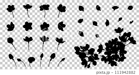 優雅的櫻花剪影（分為幾部分） 111942882