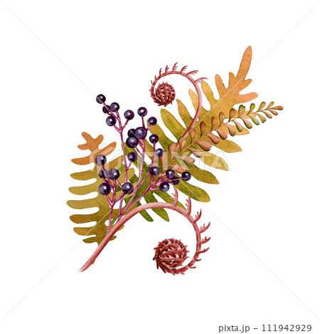 Autumn floral decoration with fallen leaves, fern and berries. Watercolor painted illustration. Vintage style autumn elegant decor element in warm colors. Isolated on white background 111942929