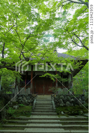 常寂光寺の風景 111942959
