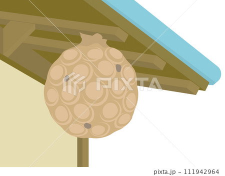 軒下の蜂の巣のイラスト 軒下の蜂の巣のイラスト 111942964