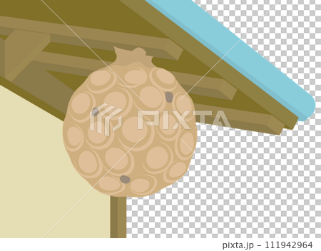軒下の蜂の巣のイラスト 軒下の蜂の巣のイラスト 111942964