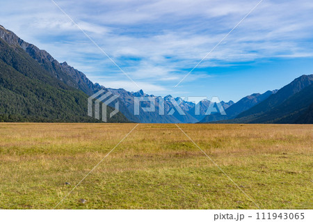 ニュージーランドのエグリントンバレー ニュージーランドのエグリントンバレー 111943065