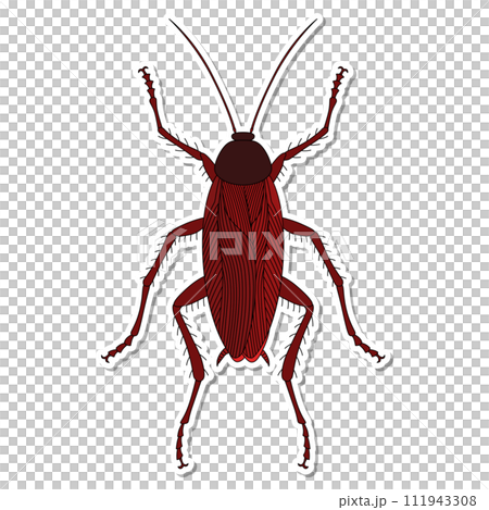 貼紙昆蟲單項圖示蟑螂 貼紙昆蟲單項圖示蟑螂 111943308