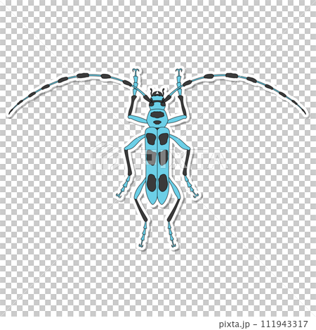 Sticker insect single item icon Blue-winged longhorn beetle Sticker insect single item icon Blue-winged longhorn beetle 111943317