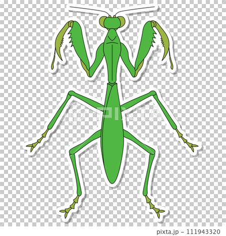 Sticker insect single item icon praying mantis 111943320