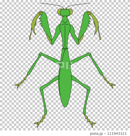 カラー昆虫単品アイコン　カマキリ 111943321