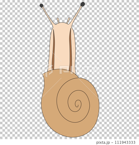 カラー昆虫単品アイコン　カタツムリ 111943333