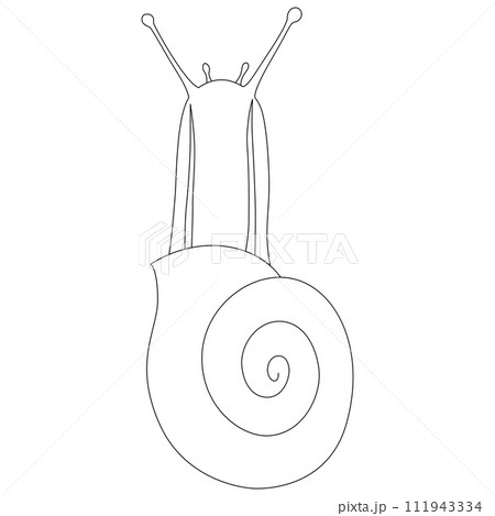線画昆虫単品アイコン カタツムリ 線画昆虫単品アイコン カタツムリ 111943334