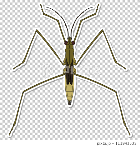 貼紙昆蟲單品圖示水黽 111943335