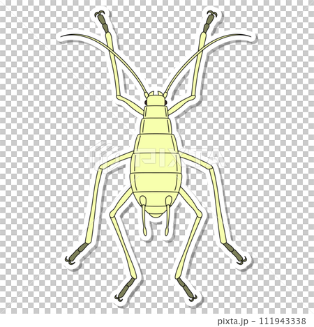 貼紙昆蟲單項圖示蚜蟲 貼紙昆蟲單項圖示蚜蟲 111943338