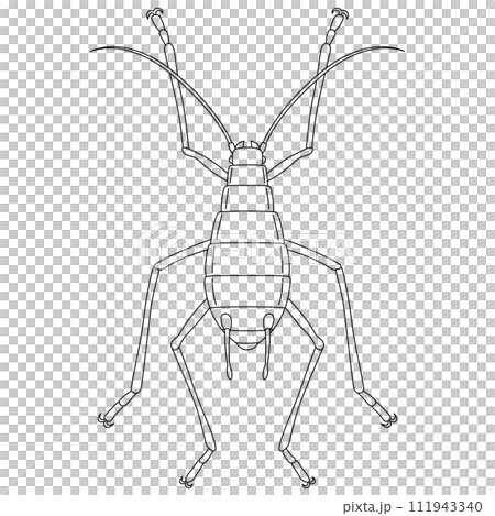 Line drawing insect single item icon aphid Line drawing insect single item icon aphid 111943340