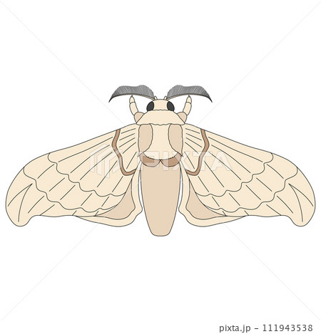 カラー昆虫単品アイコン　蚕 111943538