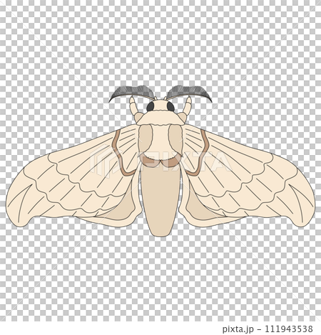 カラー昆虫単品アイコン　蚕 111943538