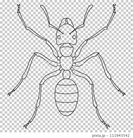線條畫昆蟲單項圖示螞蟻 線條畫昆蟲單項圖示螞蟻 111943542