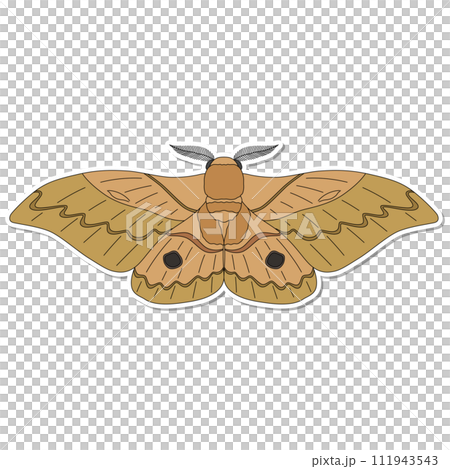 貼紙昆蟲單項圖示飛蛾 111943543