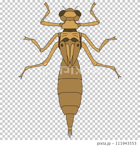 Color insect single item icon Yago 111943553
