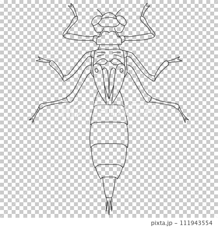 線描昆蟲單項圖標 Yago 111943554