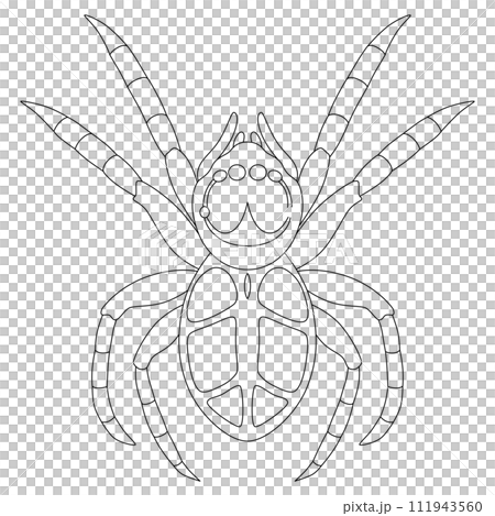 線畫昆蟲單項圖示跳蜘蛛 111943560