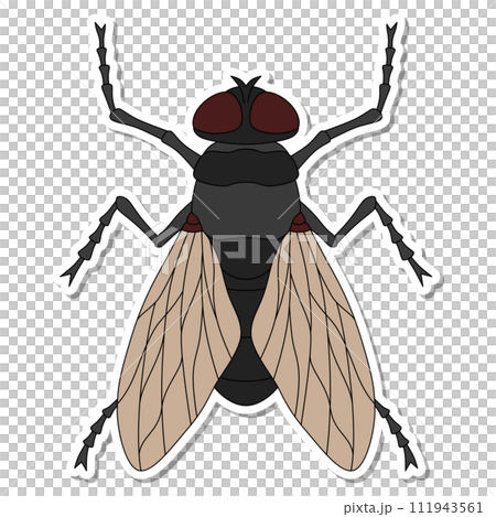 貼紙昆蟲單項圖示飛 貼紙昆蟲單項圖示飛 111943561