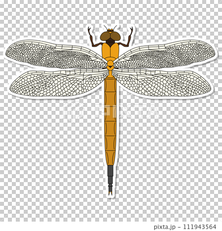貼紙昆蟲單項圖示蜻蜓 111943564