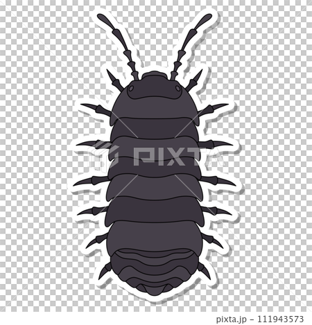 ステッカー昆虫単品アイコン ダンゴムシ ステッカー昆虫単品アイコン ダンゴムシ 111943573