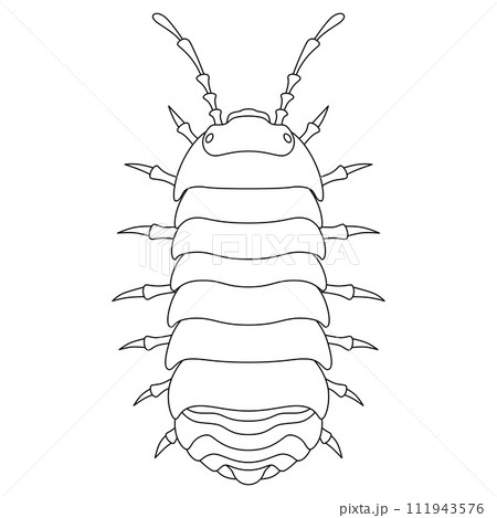 線画昆虫単品アイコン　ダンゴムシ 111943576
