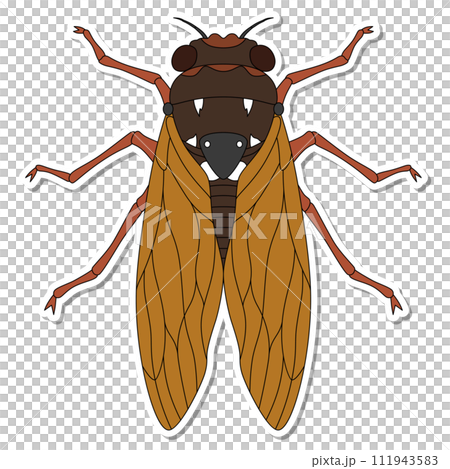 ステッカー昆虫単品アイコン 蝉 ステッカー昆虫単品アイコン 蝉 111943583