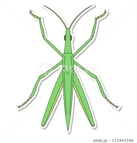 ステッカー昆虫単品アイコン ショウリョウバッタ ステッカー昆虫単品アイコン ショウリョウバッタ 111943586