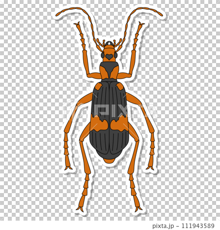 Sticker insect single item icon Mydelago beetle 111943589