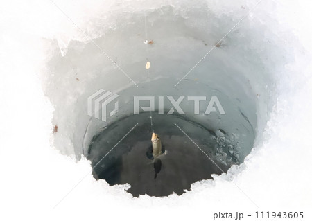 氷上ワカサギ釣りの風景 111943605