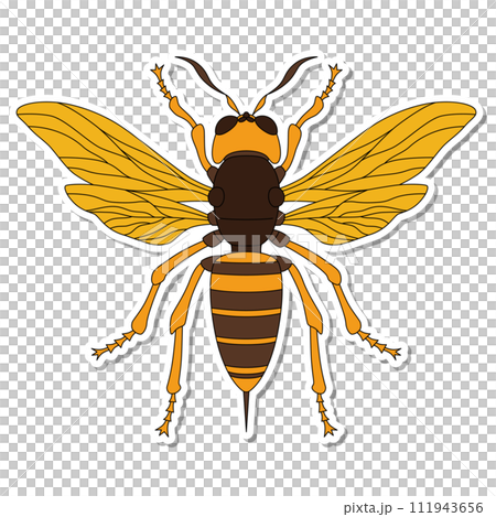 Sticker insect single item icon bee Sticker insect single item icon bee 111943656