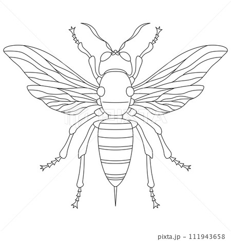 線画昆虫単品アイコン　蜂 111943658