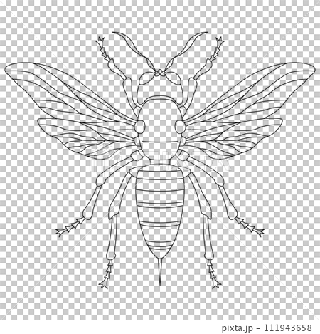 線画昆虫単品アイコン　蜂 111943658