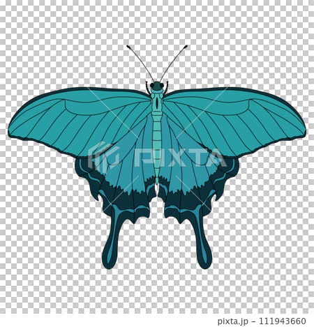 Color insect single item icon butterfly Color insect single item icon butterfly 111943660