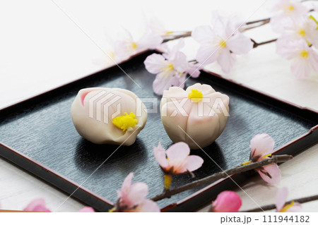 黒角皿にのった桜の花と桃の花の上生菓子 黒角皿にのった桜の花と桃の花の上生菓子 111944182
