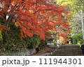 紅葉が美しい神明社の階段（宮城県白石市） 111944301
