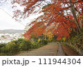 紅葉が美しい神明社の階段（宮城県白石市） 111944304