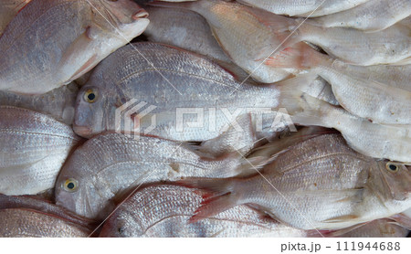Fresh raw caught fishes on ice sale at fish market. Seafood pattern 111944688