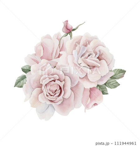 Composition of pink rose hip flowers with buds and leaves, Victorian style rose. Floral watercolor illustration hand painted isolated on white background. Perfect for invitation, greeting cards, poste 111944961