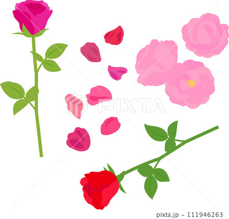 バラの花のイラストセット 111946263