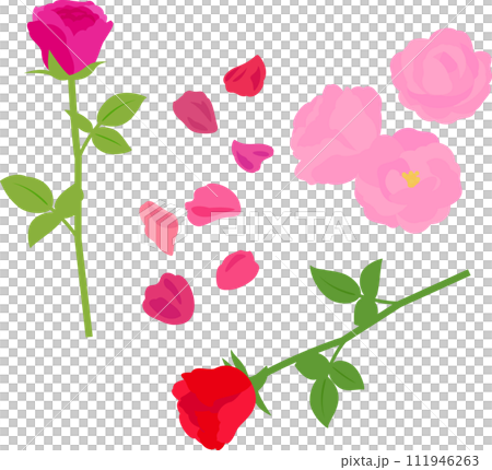 Rose flower illustration set 111946263