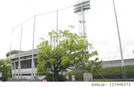 ダイムスタジアム伊勢(伊勢市倉田山公園野球場)/三重県伊勢市楠部町159番 ダイムスタジアム伊勢(伊勢市倉田山公園野球場)/三重県伊勢市楠部町159番 111946373