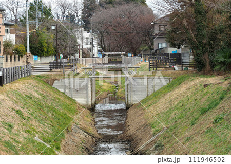 見沼通船堀跡の東縁【埼玉県さいたま市】 111946502