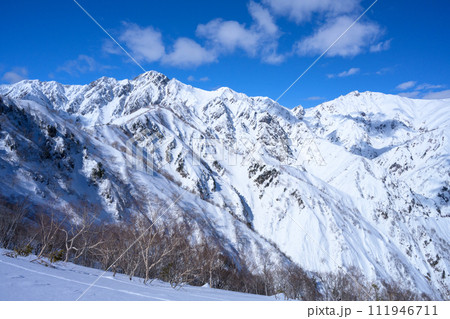 【北アルプス】冬の遠見尾根からの五竜岳 111946711