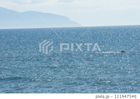 北海道 黄金岬から見た風景 北海道 黄金岬から見た風景 111947548