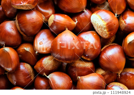 栗の背景 111948924